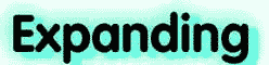 exptext.jpg (36162 bytes)
